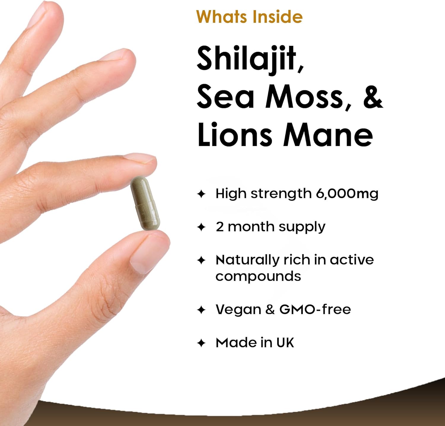 Shilajit Seamoss and Lions Mane Capsules 6000mg - High Strength Complex - 60% Fulvic Acid Shilajit, Irish Sea Moss, Lions Mane 100% Fruiting Body - Vegan, UK Made 120 Capsules